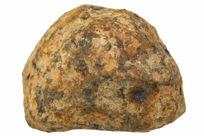 Mundrabilla Iron Meteorite ( g) - Australia #318927